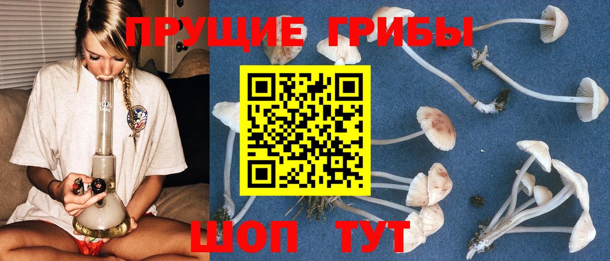 Сосновоборск  Галлюциногенные грибы прущие грибы  Вход с VPN 