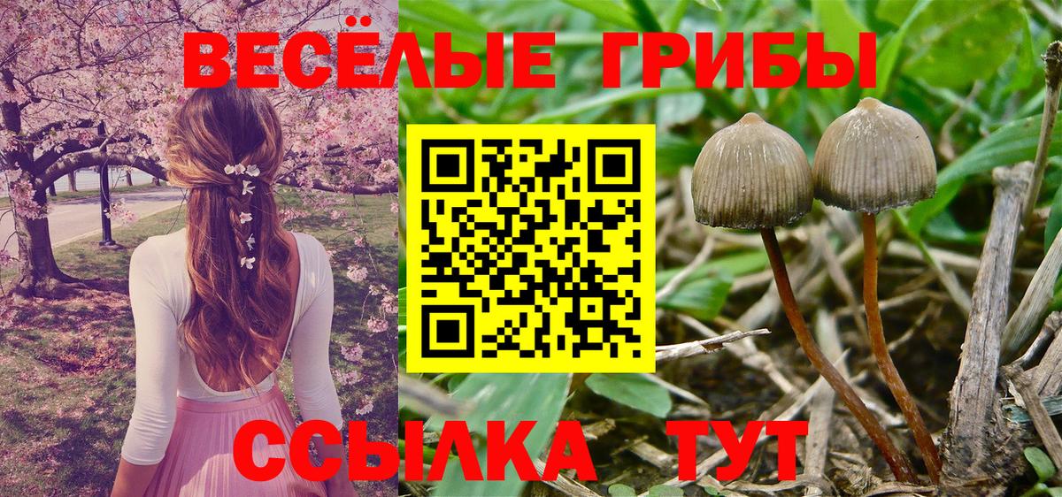 Псилоцибиновые грибы ЛСД Сосновоборск